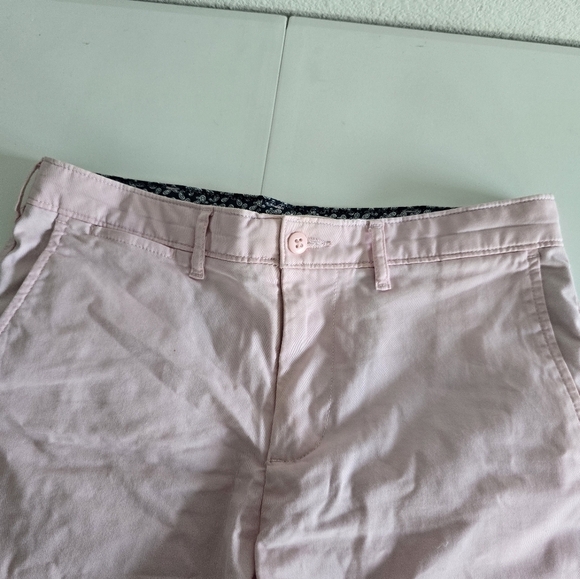 Daniel Cremieux Casual Shorts Chino Men’s Size 30 Flat Light Pink Exellcent - Picture 4 of 8